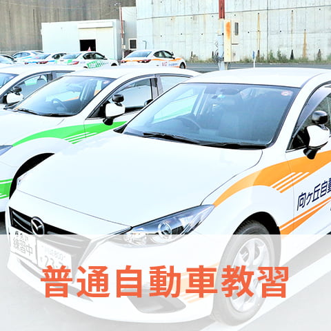 普通自動車教習