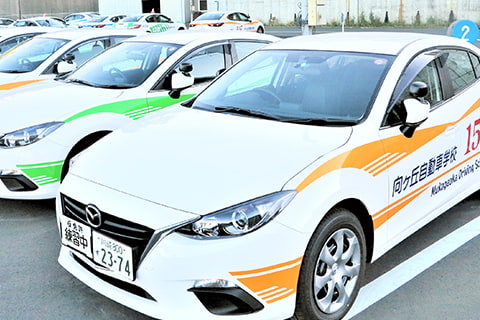 普通自動車教習