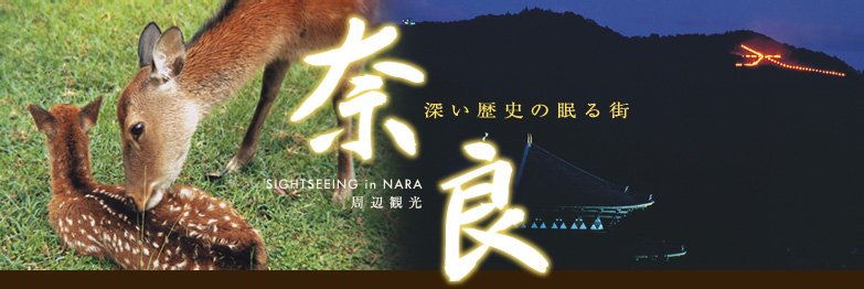 深い歴史の眠る街　奈良　周辺観光