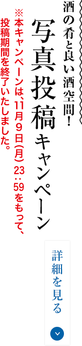 詳細を見る