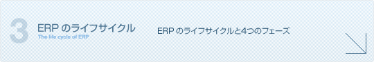 ERP�̃��C�t�T�C�N��
