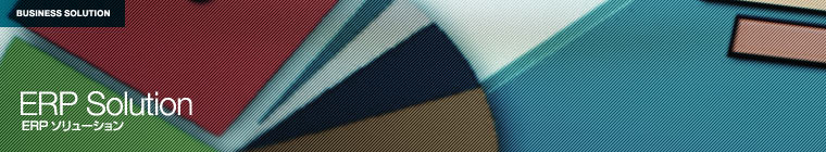 ERP�\�����[�V����