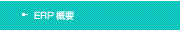 ERP�T�v